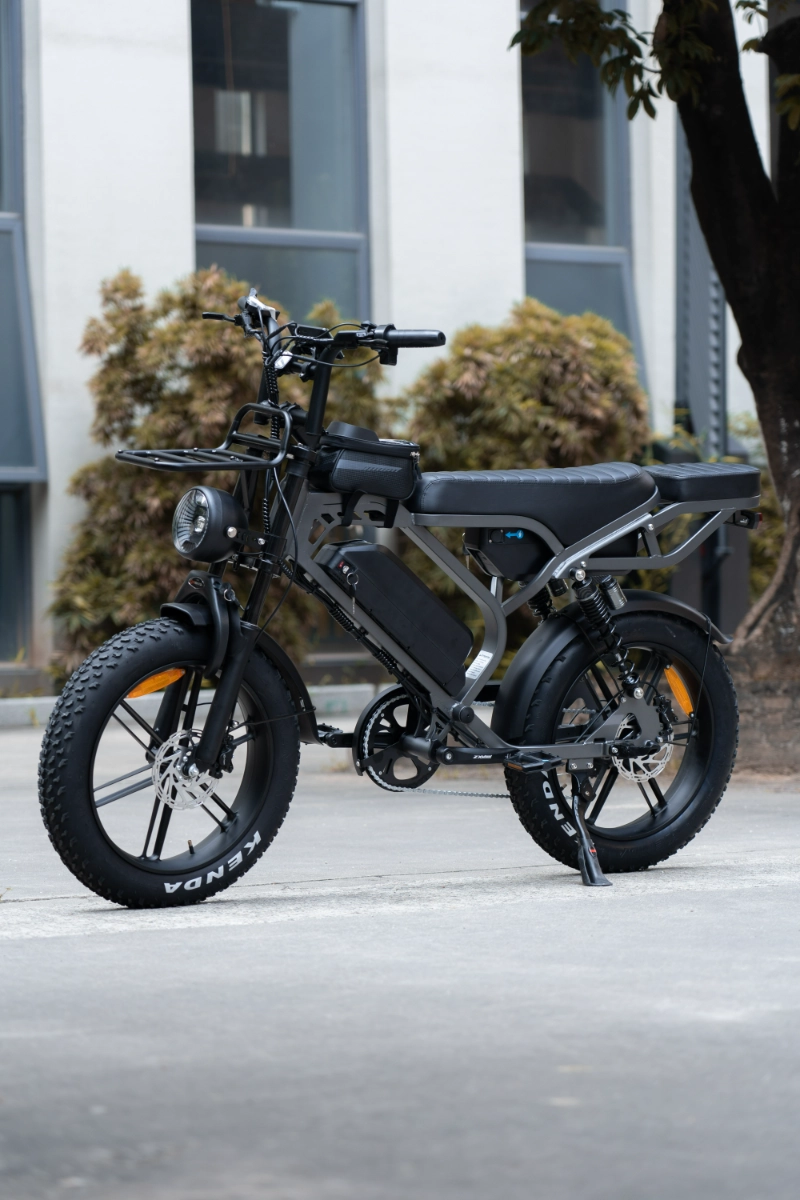 Как электрические велосипеды с толстыми шинами OEM, изготовленные на заказ, помогают брендам выйти на нишевые рынки